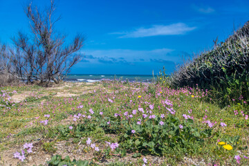 Torre Guaceto protected marine reserve