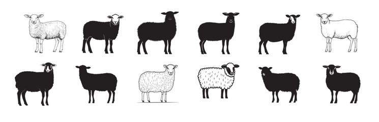 collection of sheep full length clean simple silhouette black .