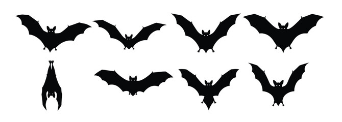  collection of bat silhouettes isolated on white background 