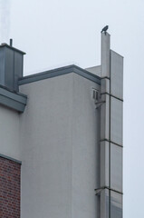 Crow perching modern building rooftop against cloudy sky