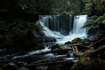 Obraz premium Lush Tasmanian Rainforest Waterfall, Hikers Enjoying Russell and Horseshoe Falls in spring