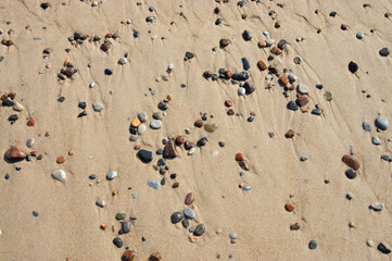 Drobne kamyczki na piaszczystej plaży otulone promieniami słońca
