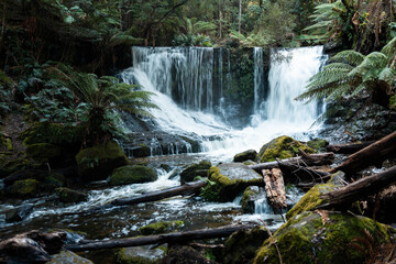 Lush Tasmanian Rainforest Waterfall, Hikers Enjoying Russell and Horseshoe Falls in spring
