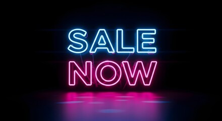 Bright neon sign displaying the words 'SALE NOW' in vibrant blue and pink colors against a dark background, creating an eye-catching promotional display
