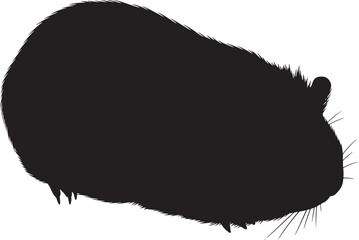 Silhouette of a guinea pig cute rodent pet animal profile silhouette cute critter mammal portrait
