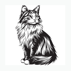 Obraz premium vector illustration of a cat