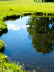 Reflective Water Surface Under Bright Daylight