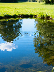 Clear Pond with Gentle Ripples in Green Field
