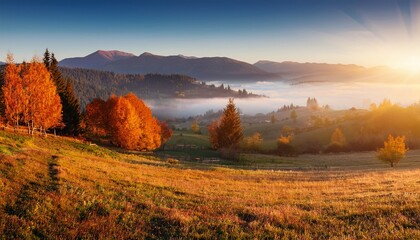 Autumn Sunrise Rural Scenery Landscape With Mountains Fields And Forests Covered With Morning Fog There Are Trees On The Lawn Full Of Orange Leaves Picturesque Resort Carpathian Europa