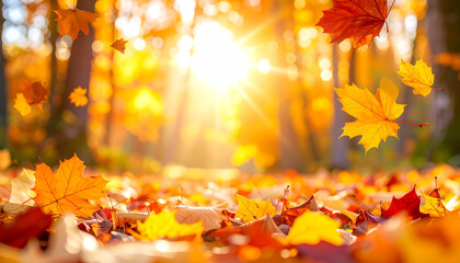 Sunlit Falling Leaves