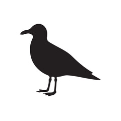 Black crow vector illustration on white background