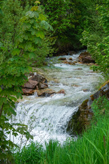 Clear mountain stream flowing over rocks, forming a small waterfall surrounded by lush green vegetation and forest plants in a peaceful natural landscape.
