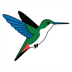 Obraz premium Colorful cartoon hummingbird in flight, vibrant nature illustration isolated on white background, Vector, illustration