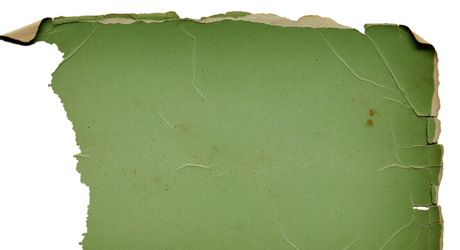 A distressed and torn vintage green paper texture with rough edges isolated on transparent background
