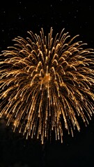 A dazzling display o