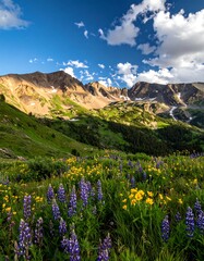 Obraz premium A vibrant mountain scene with flowering meadow and peaks under a bright, partly cloudy sky