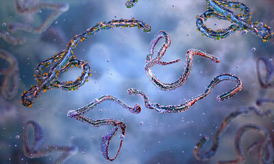 Marburg RNA virus filamentous structure. Filoviridae family zoonotic filovirus transmitted by fruit bats. Viral infection, hemorrhagic fever infectious disease, medical science article 3D illustration