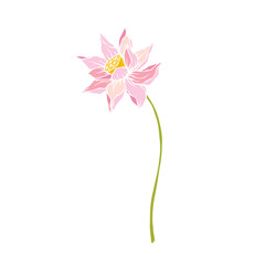 Colorful aquatic plant, lotus flower. Decorative botanical element. Vector graphics.