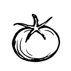 Sketch, doodle of a tomato vegetable. Vector graphics.