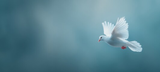 Obraz premium White dove flying gracefully in a bright open sky, spacious rule-of-thirds composition with clear room for text on the right, peaceful and minimal wildlife scene