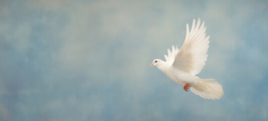 Obraz premium White dove flying gracefully in a bright open sky, spacious rule-of-thirds composition with clear room for text on the right, peaceful and minimal wildlife scene