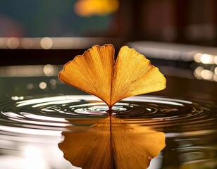 Ginkgo tree leaf lying in a rainwater puddle, creating a reflective autumn background. Fan-shaped yellow leaf on wet ground with moody seasonal atmosphere