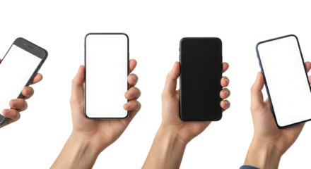 Vibrant Red and Yellow Autumn Maple Leaves Border Isolated on Clean White Background