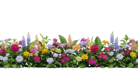 Vibrant Red and Yellow Autumn Maple Leaves Border Isolated on Clean White Background