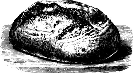 Antique bread illustration in black outline style. Hand-drawn vector artwork showcasing detailed texture and classic shape in a vintage set.