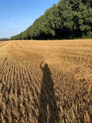 Schatten Frau winkt am Stoppelfeld am Waldrand