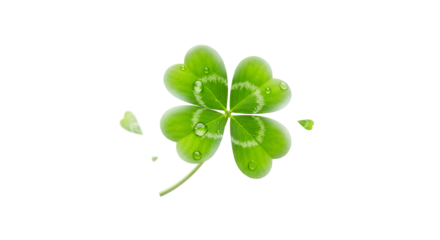 A close-up view of a vibrant green four-leaf clover with water droplets, symbolizing luck and nature's beauty