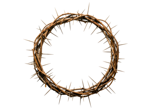 Crown of thorns isolated on transparent background