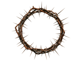 Crown of thorns isolated on transparent background
