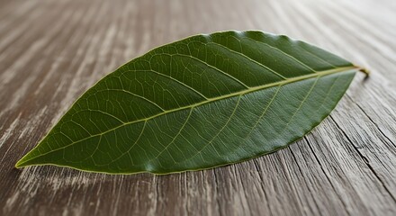 Vibrant Green Leaf Macro on Rustic Wooden Background