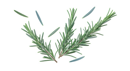 Fototapeta premium Aromatic and fresh rosemary branches with scattered individual leaves, presented cleanly on a white backdrop, perfect for cooking, gardening, or herbal themes
