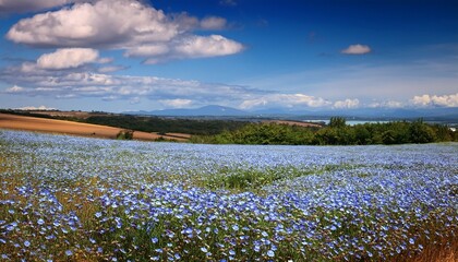 Flaxseed And Blue Flax Flowers