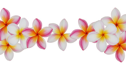Naklejka premium Collection of beautiful pink and white frangipani flowers forming a decorative floral border on a white background, perfect for a tropical or spa theme