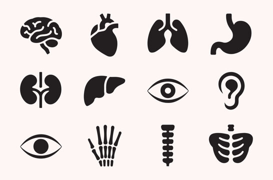 Human organ icon set