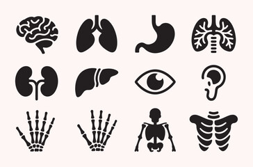 Human organ icon set
