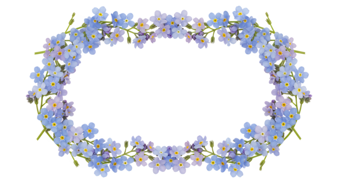 Elegant Oval Frame of Delicate Blue Forget-Me-Not Flowers on a White Background
