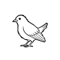 Obraz premium Outline of a bird standing on white background 