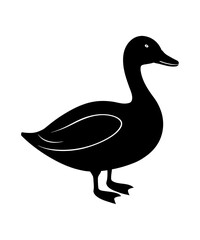 Elegant Duck Silhouette Calmly Standing Black and White Illustration, Minimalist Design Bird Vector