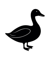 The Elegant Duck Silhouette Calmly Standing Black and White Illustration, Minimalist Design Bird Vector