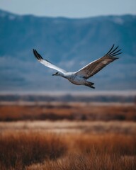 Majestic bird soars, wings outstretched against a mountain backdrop.