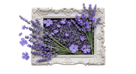 Vintage frame filled with delicate lavender sprigs and loose blossoms, evoking a sense of rustic charm and natural beauty