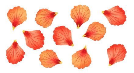 Obraz premium A collection of vibrant orange flower petals scattered across a white background, perfect for floral designs and artistic creations