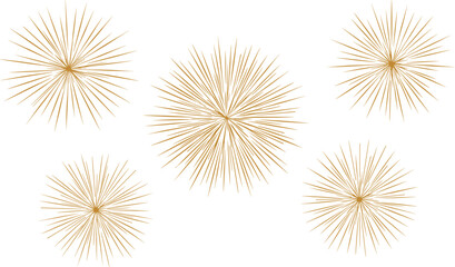 Fototapeta premium Golden starburst, radial symmetry, abstract lines, decorative vector, festive sparkle, geometric pattern, elegant design, burst illustration, light rays