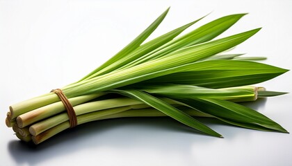 Fototapeta premium Fresh Green Lemon Grass