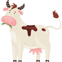 White Cow With Brown Patches Chewing Grass Farm Animal Livestock Mammal Domestic Bovine Standing on Transparent Background