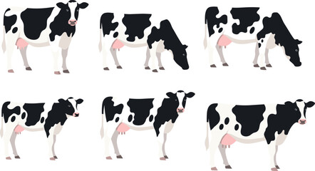 Collection of dairy cow illustrations in various poses, farm livestock graphics featuring Holstein cows grazing, standing, and feeding for agricultural design